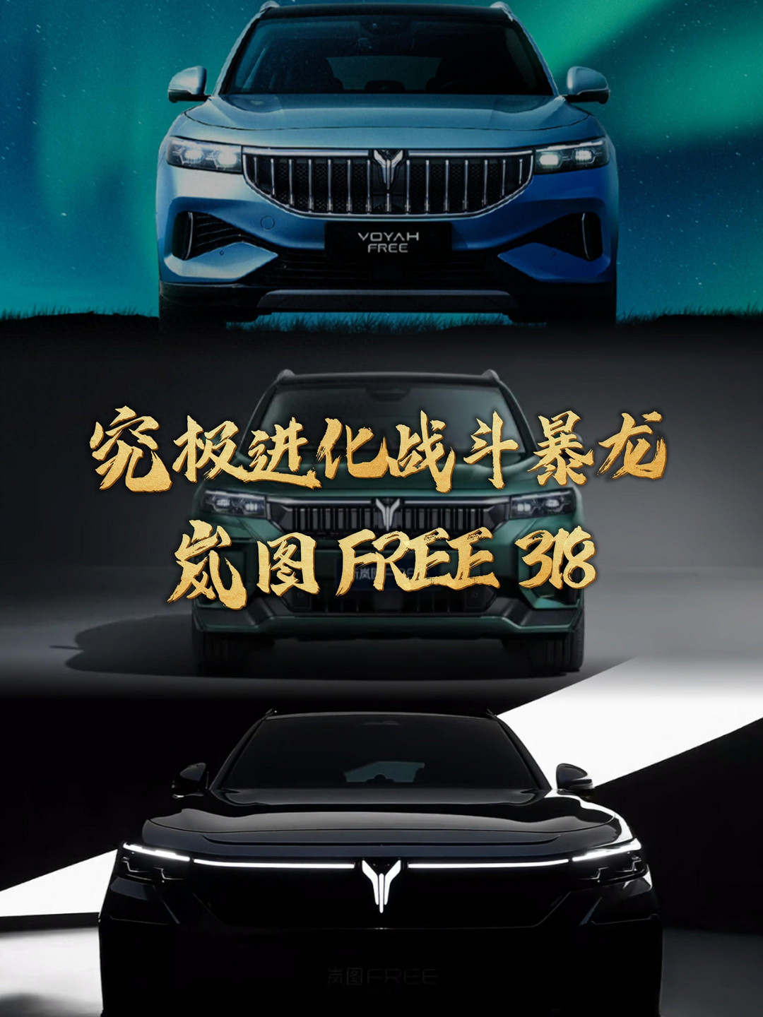 究极进化的战斗暴龙-岚图FREE318